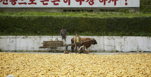 North Koreans are drying corn — and you can literally see it from outer space