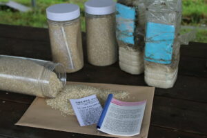 Six Americans under investigation for trying to send Bibles, rice to North Korea