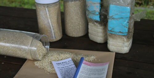 Six Americans under investigation for trying to send Bibles, rice to North Korea