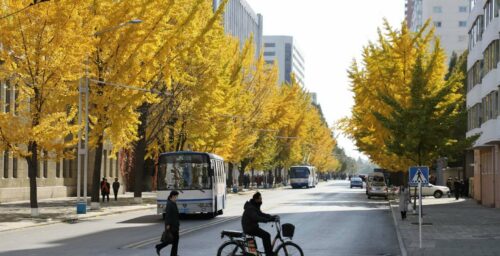 Photos: Pyongyang’s golden trees show North Korean autumn in full bloom