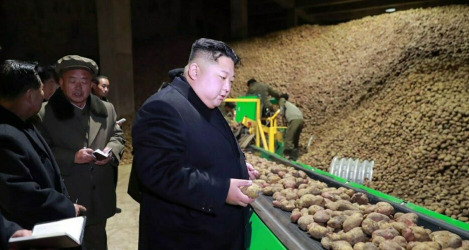 North Korea has a pop culture obsession with potatoes, and it’s a dangerous sign