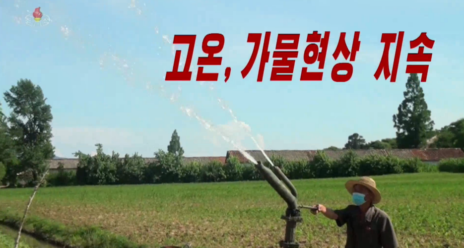 Blistering summer heat wave is killing North Korean crops: state media