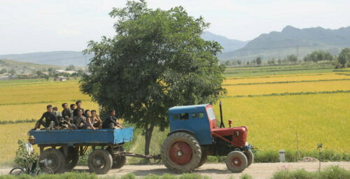 North Korean provinces see ‘dramatic’ decline in crop health: report