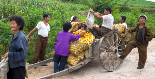 North Korea’s got 99 problems and rural development is one