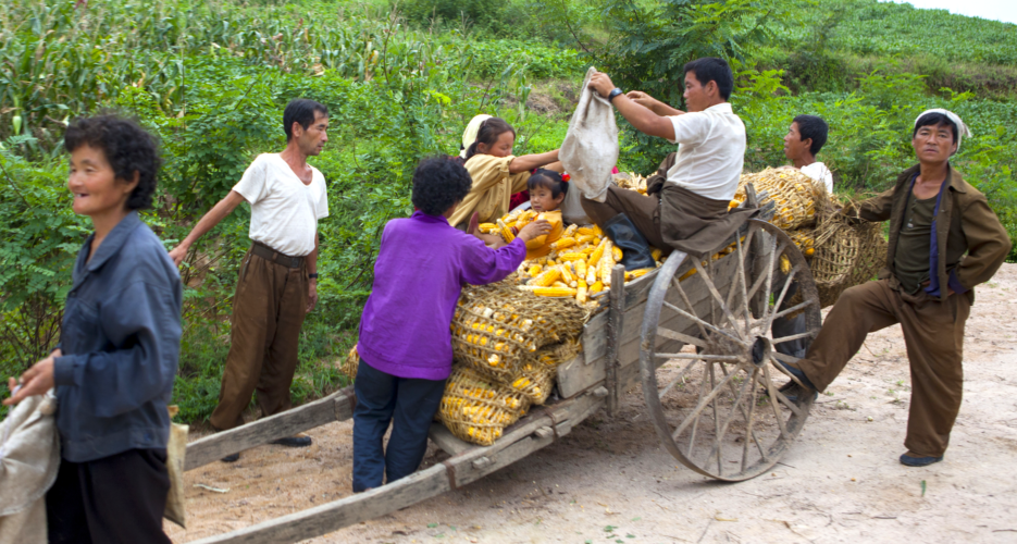 North Korea’s got 99 problems and rural development is one