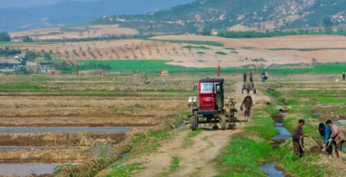 North Korea to send 30 ‘technicians’ to Guinea for agricultural cooperation