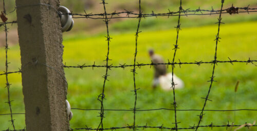 Ask a North Korean: The long, dangerous journey to freedom in the South