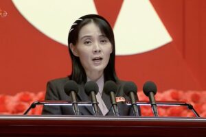 Seoul’s plan to send medical aid to North Korea is a ‘provocation’: Kim Yo Jong