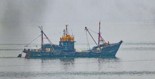 North Korean waters see fewer intrusions as China’s fishing season resumes: Data