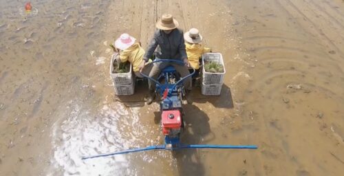 North Korea adopts ‘crucial’ farm policy weeks after warning of food shortages