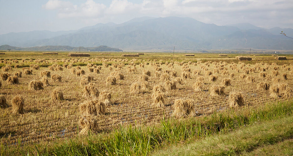 Italian firm wins UN sanctions exemption for DPRK food security project