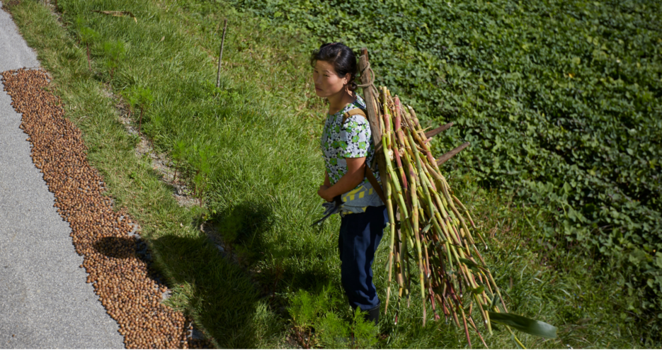 3 years into pandemic, fears mount that North Korea is teetering toward famine