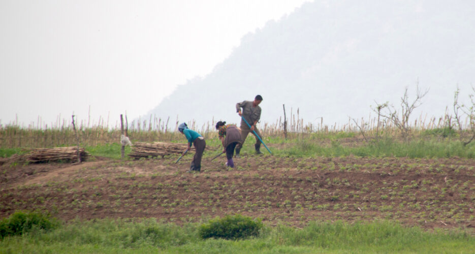 How illegal North Korean farms could fend off the next famine