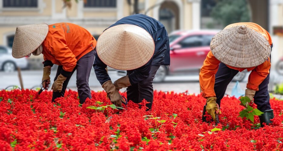 Ask a North Korean: What was it like to travel abroad for the first time?