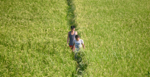 Could dryland farming be the answer to North Korea’s persistent food woes?