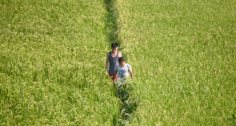 Could dryland farming be the answer to North Korea’s persistent food woes?