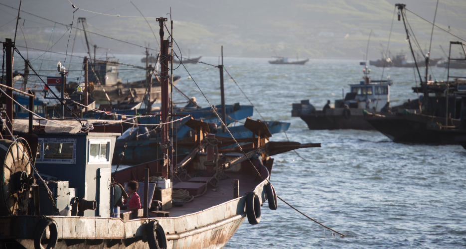 US lawmaker urges action over import of seafood processed by North Koreans