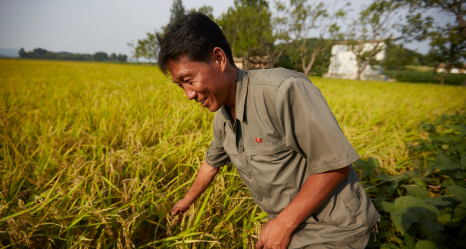 Ask a North Korean: What are working hours like in the DPRK?