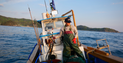 Dangerous catch: The fishermen who brave perilous waters on North Korea’s edge