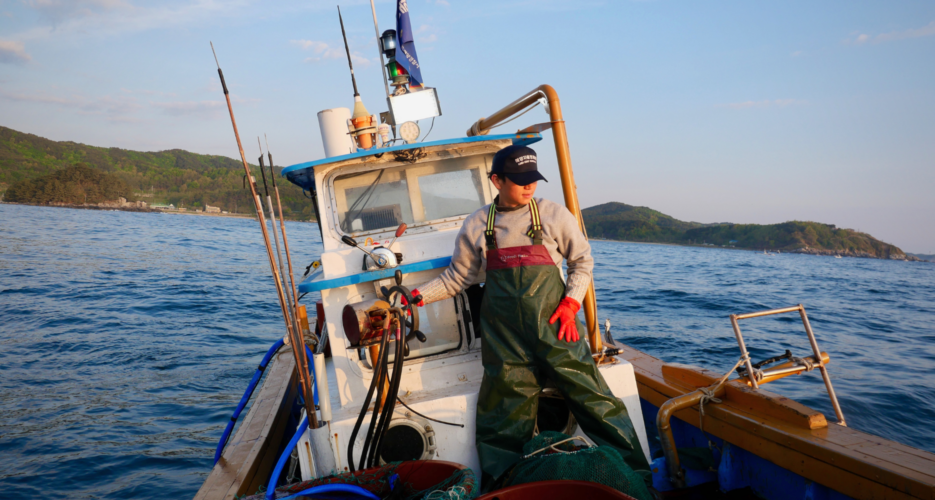 Dangerous catch: The fishermen who brave perilous waters on North Korea’s edge