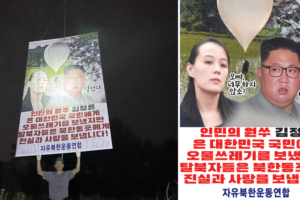 ROK police refer activist to prosecutors for launching balloons into North Korea