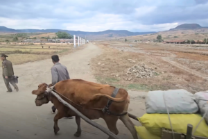 Ox carts and smartphones: New video offers rare look at North Korean countryside