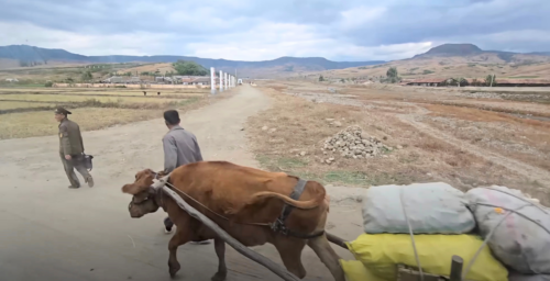 Ox carts and smartphones: New video offers rare look at North Korean countryside