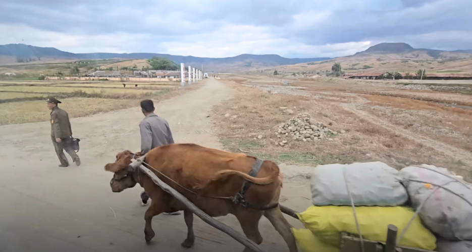 Ox carts and smartphones: New video offers rare look at North Korean countryside