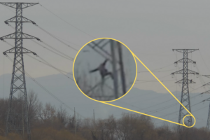 Video shows North Korean worker fall several stories from transmission tower