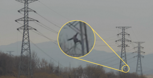 Video shows North Korean worker fall several stories from transmission tower