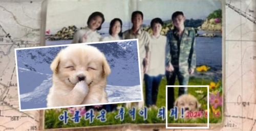 Family photo found on North Korean soldier features popular South Korean meme