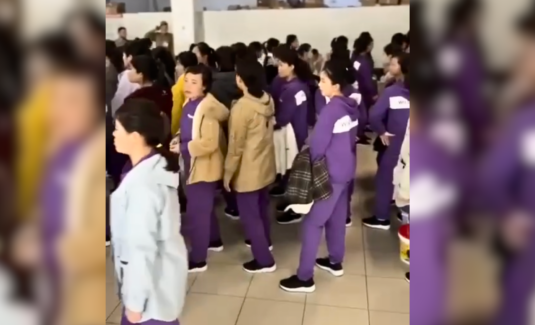 Russia’s answer to Amazon employing hundreds of North Koreans, videos suggest