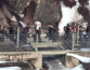 Lee Jae-myung says North Korea’s DMZ barriers betrayed fear Yoon would attack