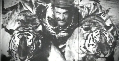 The improbable tale of the Russian tiger hunters recruited to kill Kim Il Sung