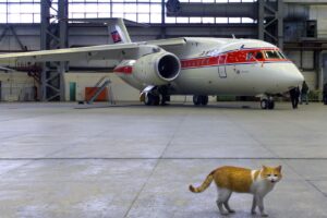 North Korean jet makes rare overnight flight to Shanghai, just third since COVID
