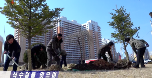 North Korea pledges to plant over 1 billion trees by next decade