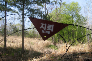 Suspected North Korean land mine washes ashore on South Korean island