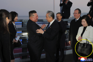 North Korean foreign minister totes $3.5K luxury handbag during China trip