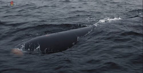 North Korea tests AI-assisted precision-guided torpedo, state media report
