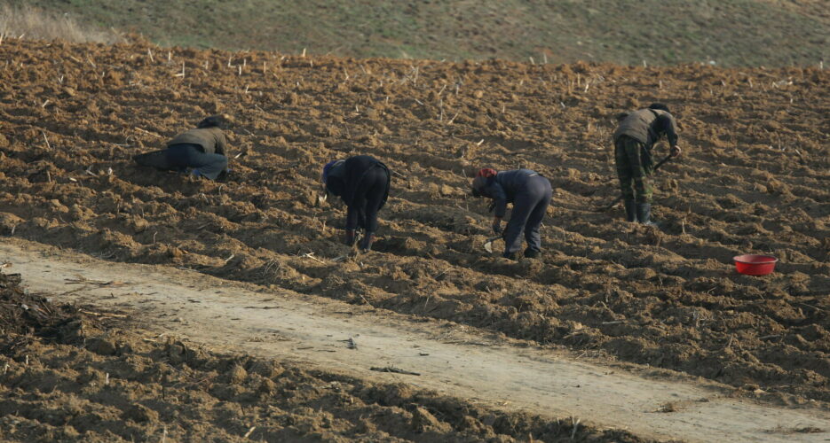 Drought has little effect on N.Korean food imports