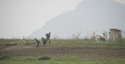 North Korea doubles cereal imports from China in July