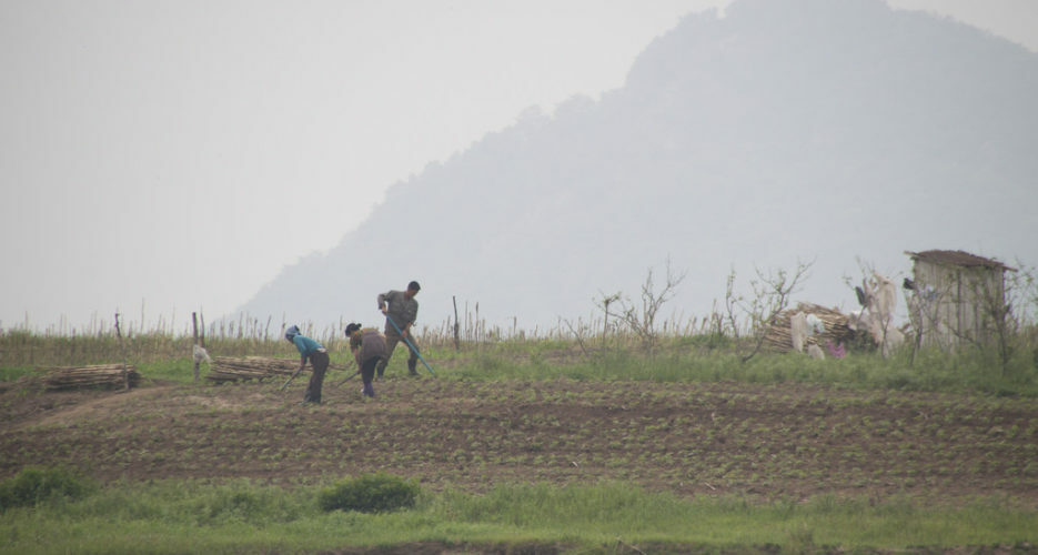 North Korea doubles cereal imports from China in July