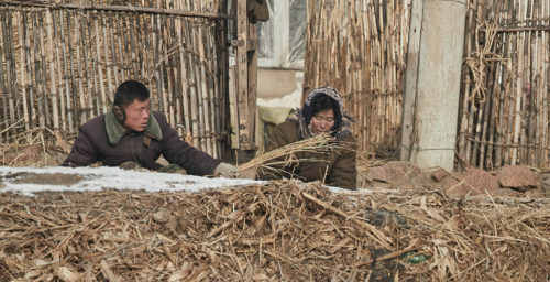 China’s flour exports to North Korea remain high in January and February: data