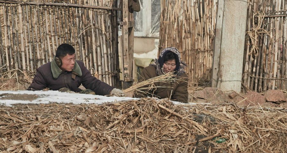 China’s flour exports to North Korea remain high in January and February: data