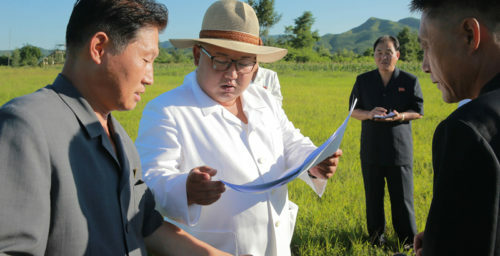 Large-scale greenhouse farm project takes shape in Kyongsong, imagery shows