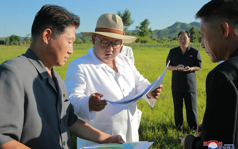 Large-scale greenhouse farm project takes shape in Kyongsong, imagery shows