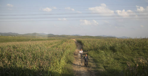 How serious is the food situation in North Korea? The view from the official data