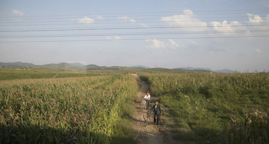 How serious is the food situation in North Korea? The view from the official data