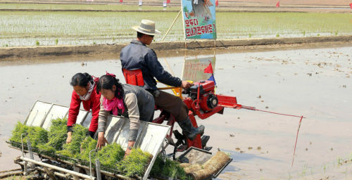 How North Korean media has covered the country’s ongoing “food problem”