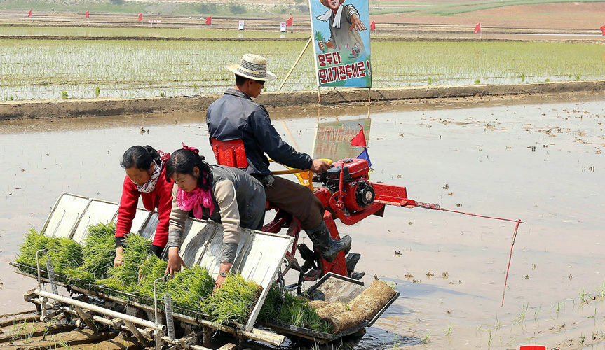 How North Korean media has covered the country’s ongoing “food problem”